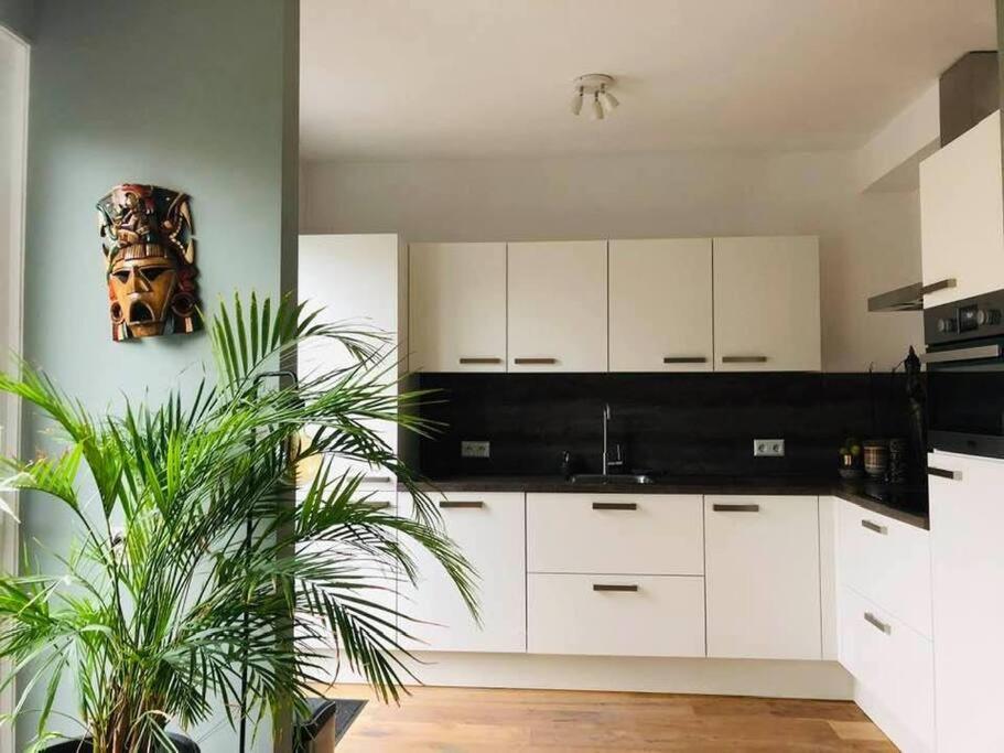 Apartmán Compleet Huis In Nijmegen Exteriér fotografie